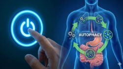 Puasa dan “Reset” Otomatis Tubuh: Rahasia Autofagi di Balik Ramadan