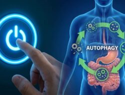 Puasa dan “Reset” Otomatis Tubuh: Rahasia Autofagi di Balik Ramadan