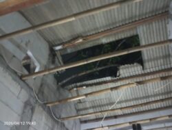 Puting Beliung Terjang Sindang Jaya Tangerang, Tiga Rumah Rusak Berat