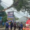 Kontainer Tersangkut Pohon di Depan RSUD Pakuhaji, Picu Kemacetan Panjang Karang Taruna Turun Tangan Bantu Evakuasi dan Urai Lalu Lintas
