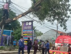 Kontainer Tersangkut Pohon di Depan RSUD Pakuhaji, Picu Kemacetan Panjang Karang Taruna Turun Tangan Bantu Evakuasi dan Urai Lalu Lintas