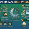 Waspada Hantavirus: Infeksi dari Tikus yang Bisa Sebabkan Gangguan Paru dan Gagal Ginjal
